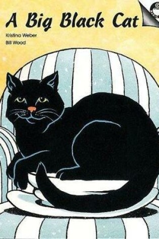 Cover of A Big Black Cat
