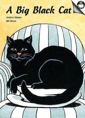 Book cover for A Big Black Cat