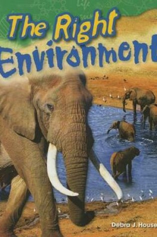 Cover of The Right Environment