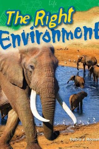 Cover of The Right Environment