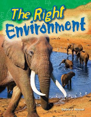 Cover of The Right Environment