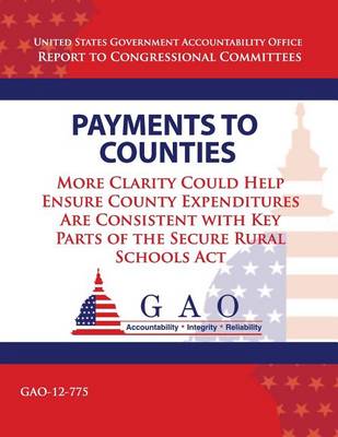 Cover of Payments to Counties