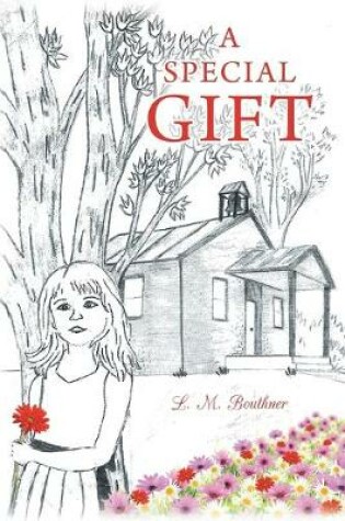 Cover of A Special Gift