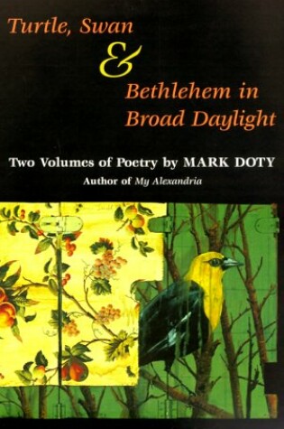 Cover of Turtle, Swan and Bethlehem in Broad Daylight