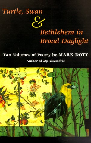 Book cover for Turtle, Swan and Bethlehem in Broad Daylight