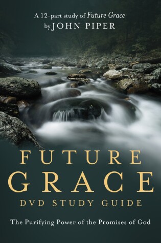 Cover of Future Grace (DVD Study Guide)