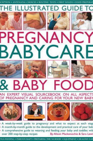 Cover of The Illustrated Guide to Pregnancy, Babycare and Baby Food
