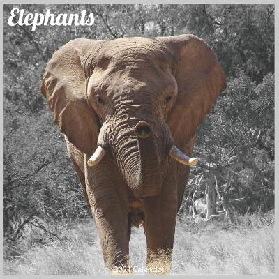 Book cover for Elephants 2021 Calendar