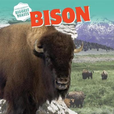 Book cover for Bison