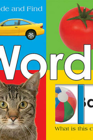 Cover of Large Slide and Find Words