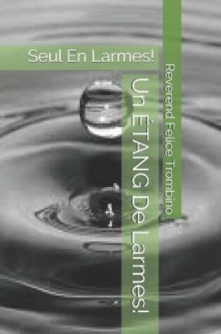 Cover of Un ETANG De Larmes!