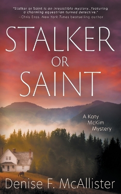 Book cover for Stalker or Saint