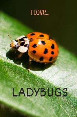 Book cover for I Love Ladybugs