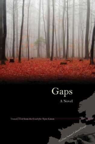 Cover of Gaps