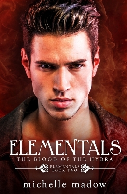 Book cover for Elementals 2