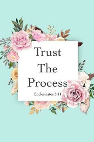 Cover of Trust the Process - Ecclesiastes 3