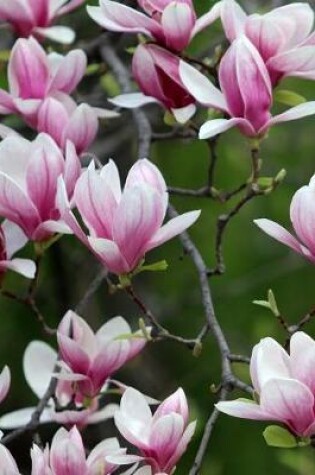 Cover of Magnolia Gardening Journal