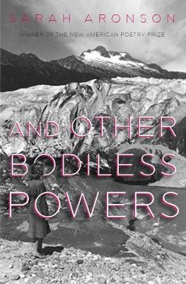 Book cover for And Other Bodiless Powers