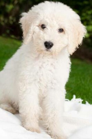 Cover of White Labradoodle Puppy Journal