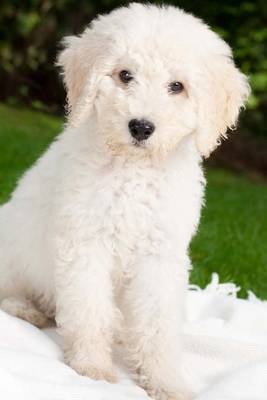 Book cover for White Labradoodle Puppy Journal