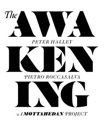 Cover of The Awakening