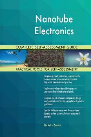 Cover of Nanotube Electronics Complete Self-Assessment Guide