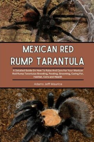 Cover of Mexican Red Rump Tarantula