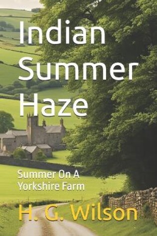 Cover of Indian Summer Haze