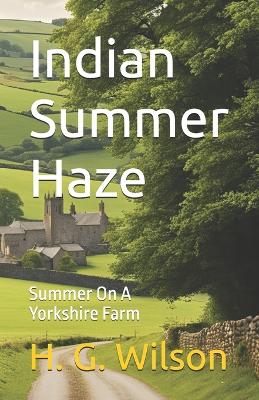 Book cover for Indian Summer Haze