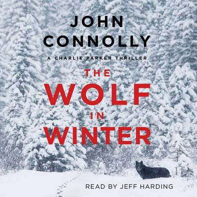 Book cover for The Wolf in Winter