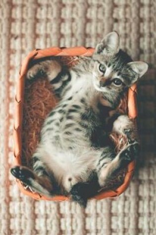 Cover of Cute Little Kitten in a Basket Journal