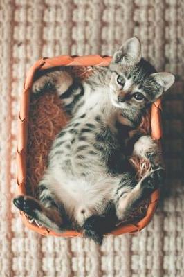 Book cover for Cute Little Kitten in a Basket Journal