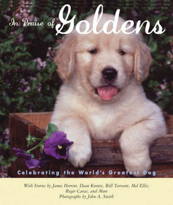 Book cover for In Praise of Goldens