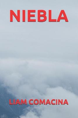 Book cover for Niebla