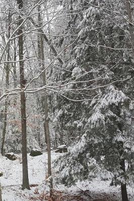 Cover of Winter Photo Journal Snow Covered Evergreen Branches