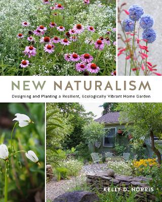 Book cover for New Naturalism