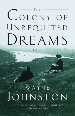 Book cover for The Colony of Unrequited Dreams