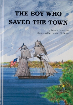 Book cover for The Boy Who Saved the Town