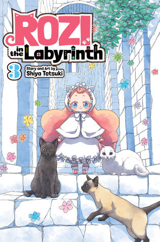 Cover of Rozi in the Labyrinth Vol. 3