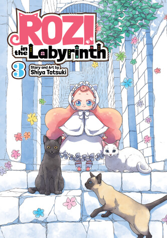 Book cover for Rozi in the Labyrinth Vol. 3