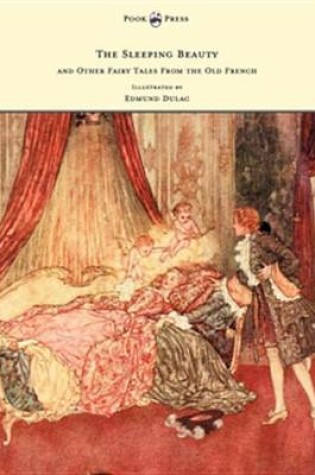 Cover of The Sleeping Beauty and Other Fairy Tales from the Old French - Illustrated by Edmund Dulac