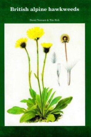 Cover of British Alpine Hawkweeds