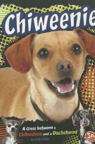 Cover of Chiweenie