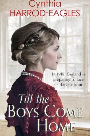 Cover of Till the Boys Come Home