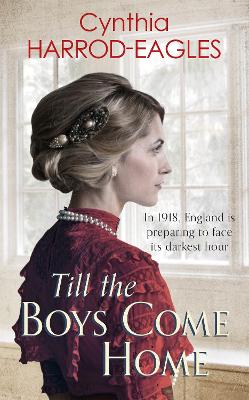 Book cover for Till the Boys Come Home