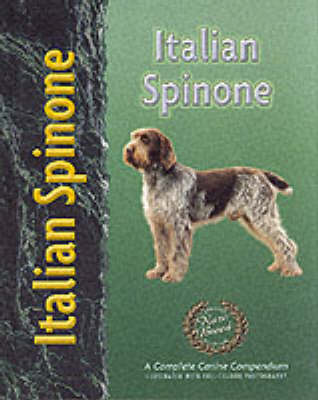 Cover of Italian Spinone