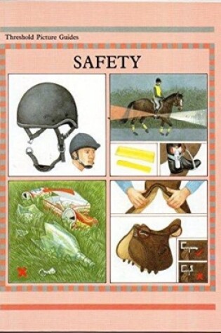 Cover of Safety