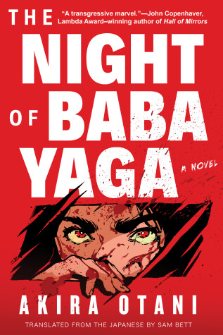 Book cover for The Night of Baba Yaga