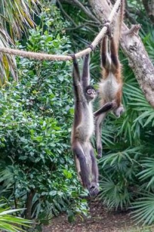 Cover of Spider Monkeys Playing Together Animal Journal