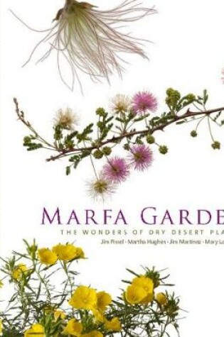 Cover of Marfa Garden